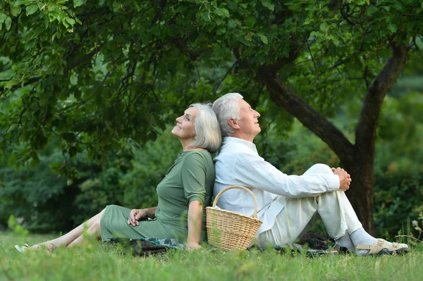 Amüsantes altes Paar im Sommerpark — Stockfoto