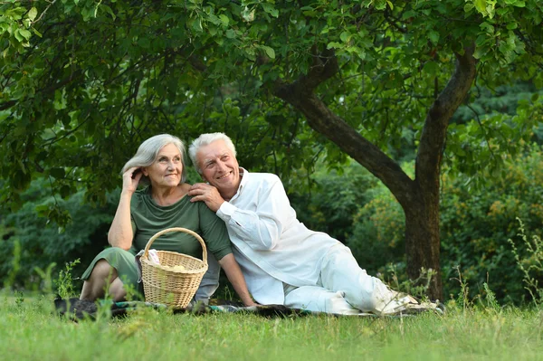 Забавна стара пара в літньому парку — стокове фото