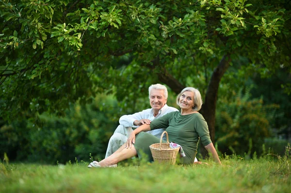 Divertente vecchia coppia nel parco estivo — Foto Stock