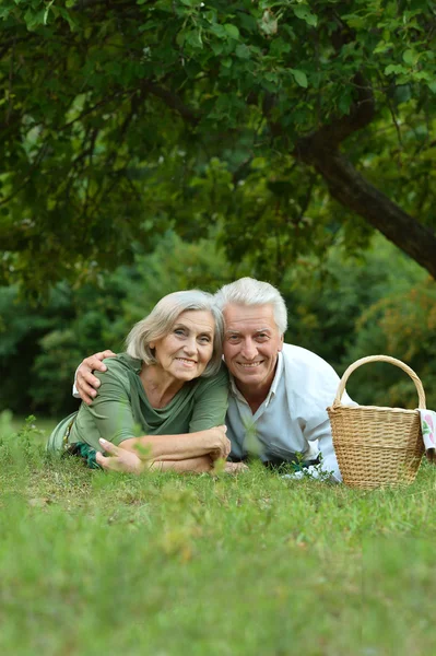 Забавная пожилая пара в летнем парке — стоковое фото