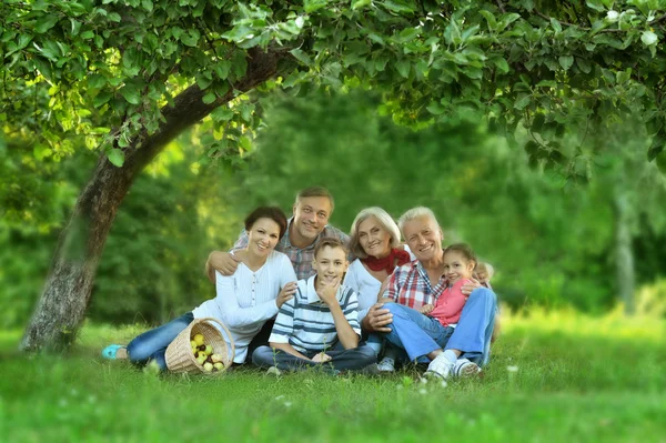 Familie rust in het zomerpark — Stockfoto