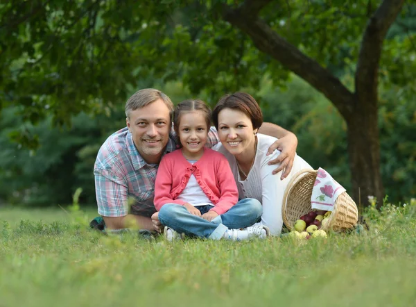 Famiglia che riposa nel parco estivo — Foto Stock