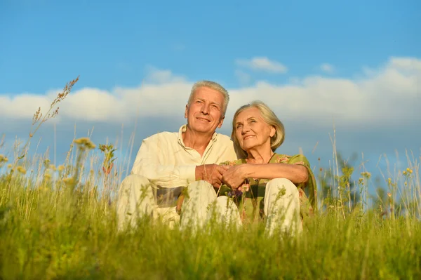 Älteres Ehepaar im Sommer in der Natur — Stockfoto