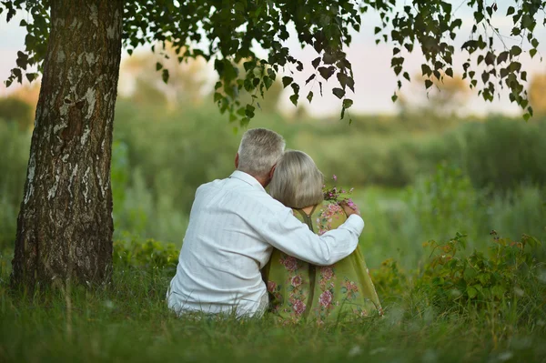 Äldre par på naturen på sommaren — Stockfoto