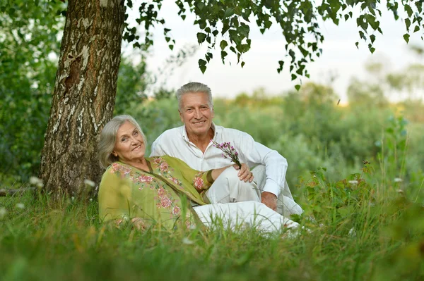 Yaşlı çift, yaz niteliğine — Stok fotoğraf