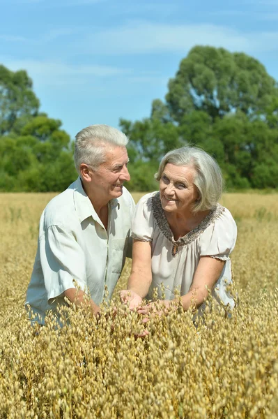 Loving mature couple in field — Stock Photo, Image