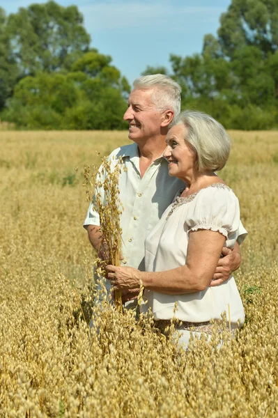 Loving mature couple in field — Stock Photo, Image