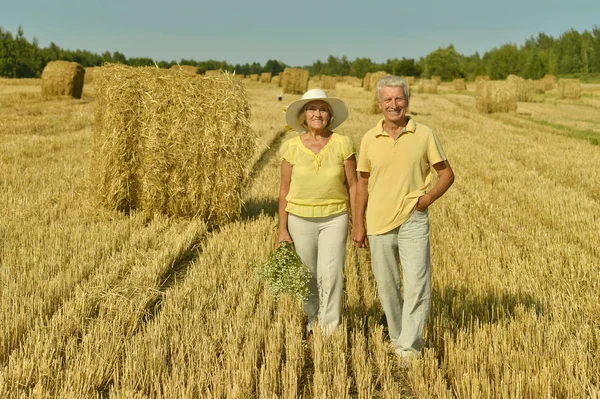 Seniorenpaar im Feld — Stockfoto