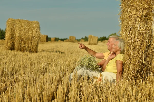 Senior koppel in veld — Stockfoto