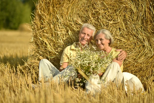 Senior couple  in  field — Stock Photo, Image