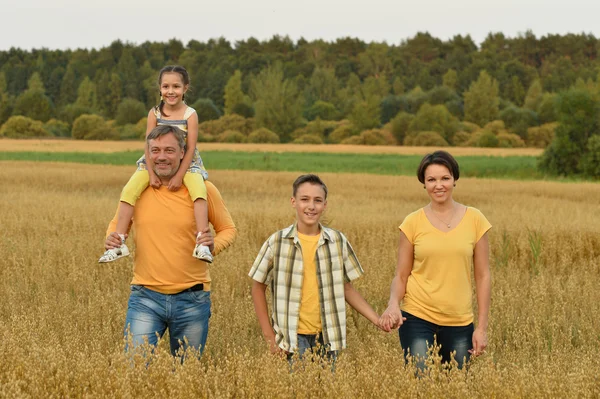 Buğday tarlasında mutlu bir aile — Stok fotoğraf
