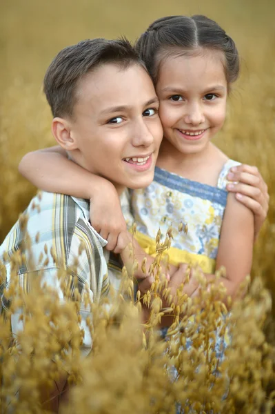 Šťastné děti v poli v létě — Stock fotografie