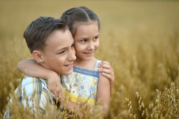 Glückliche Kinder im Sommer auf dem Feld — Stockfoto