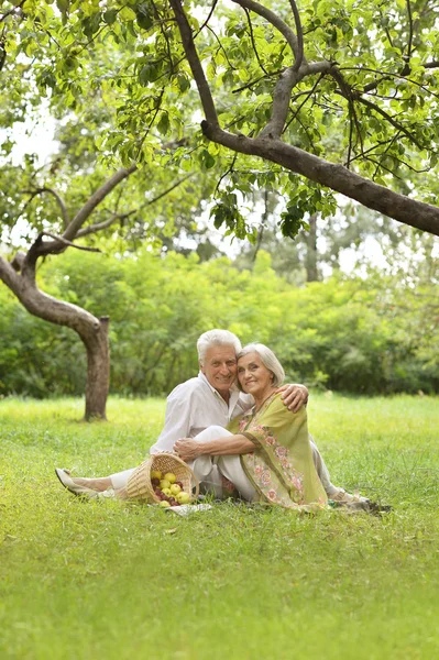 Divertente vecchia coppia su picnic — Foto Stock