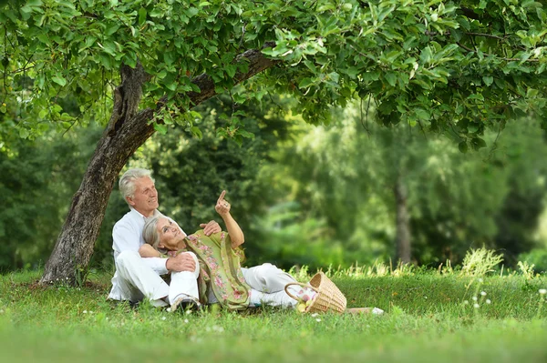 Staruszkowie na piknik, rozrywkowy — Zdjęcie stockowe