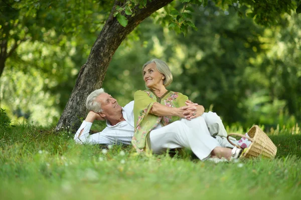 Divertente vecchia coppia su picnic — Foto Stock