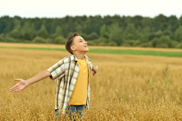 Happy Boy in field Stock Picture