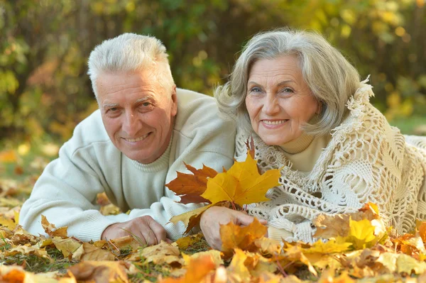 Seniorenpaar in park — Stockfoto