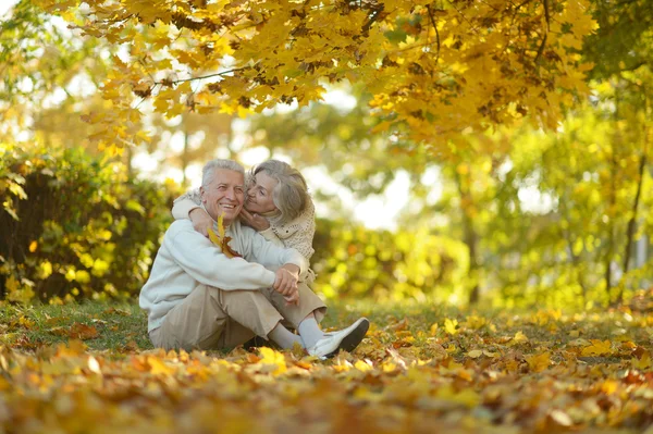 Couple aîné dans le parc — Photo