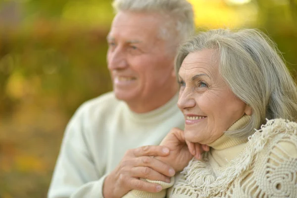 Seniorenpaar in park — Stockfoto