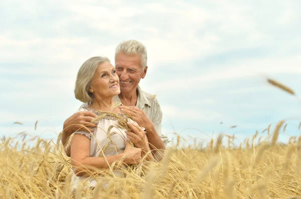 Pareja mayor descansando en el campo de verano — Foto de Stock