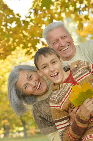 Happy grandparents with grandson — Stock Photo, Image