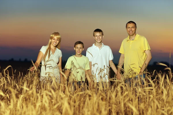 밀 밭에서의 행복 한 가족 — 스톡 사진