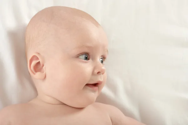 Adorable baby boy   on blanket — Stock Photo, Image