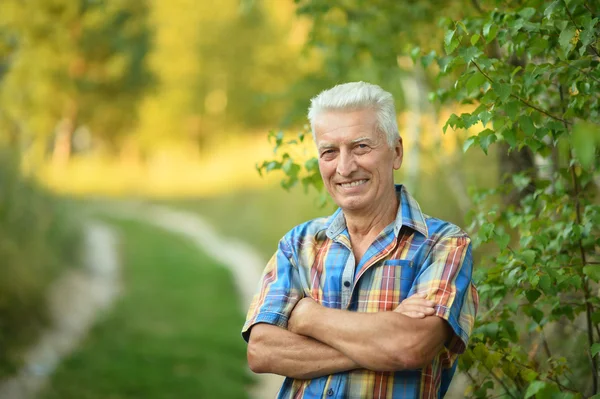 Äldre man i sommar park — Stockfoto