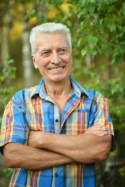 Senior man  in summer park — Stock Photo, Image