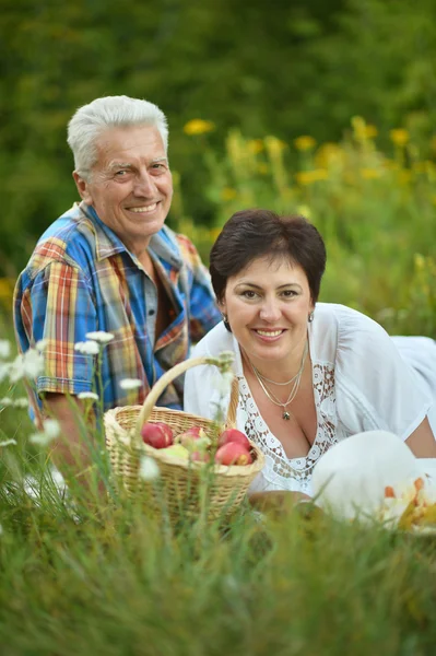 Feliz casal mais velho descansando na grama — Fotografia de Stock