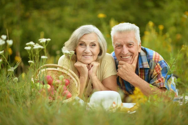 Glückliches älteres Ehepaar ruht sich auf Gras aus — Stockfoto