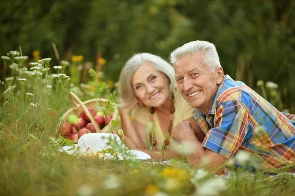 Happy elder couple resting on grass Stock Image