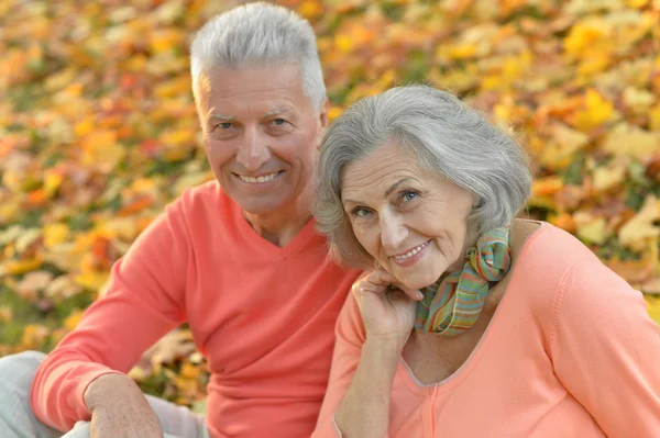 Pareja mayor en el parque de otoño —  Fotos de Stock