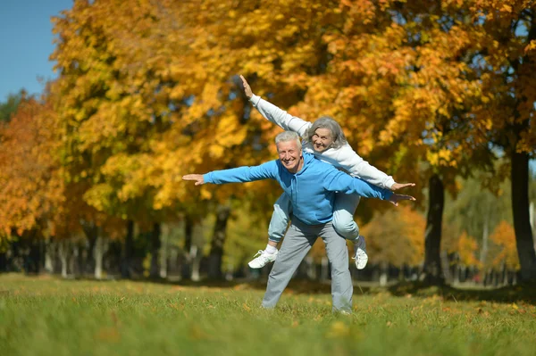 Seniorenpaar in herfstpark — Stockfoto