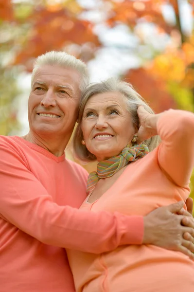 Senior couple in autumn park — Stock Photo, Image