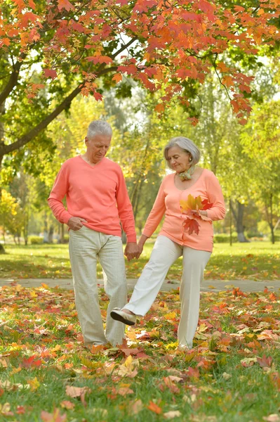 Pareja mayor en el parque de otoño — Foto de Stock