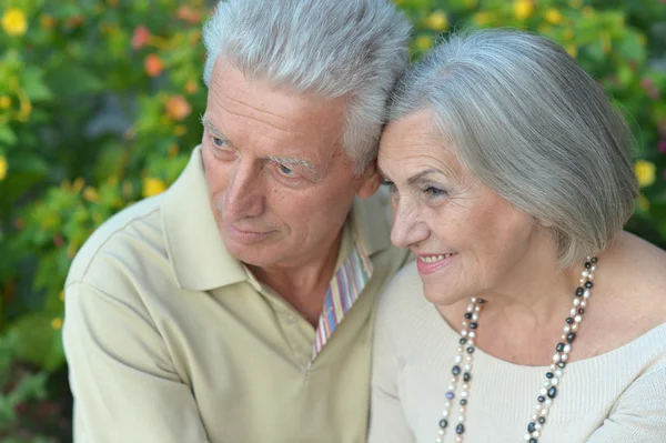 Pareja madura en el parque de verano —  Fotos de Stock