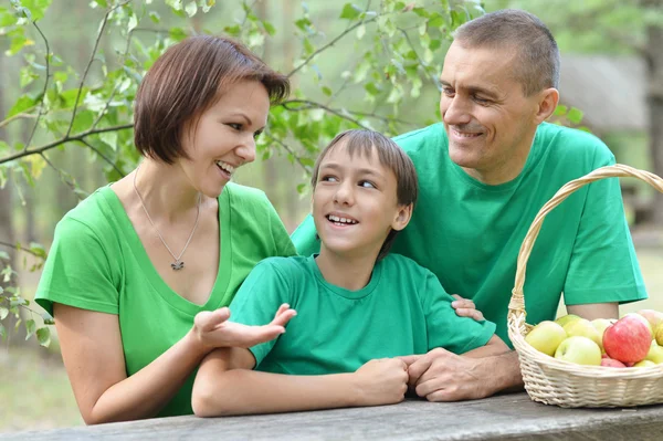 Familjen ha picknick i sommaren park — Stockfoto