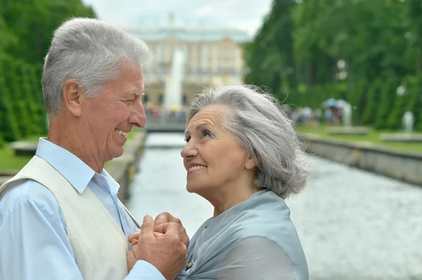 Pareja madura en el parque de verano —  Fotos de Stock