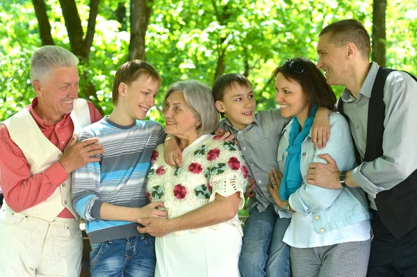 Familjen avkopplande i sommarparken — Stockfoto