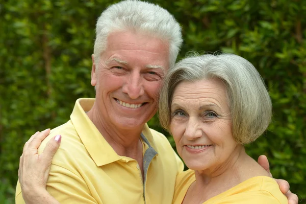 Äldre par på i sommar park — Stockfoto