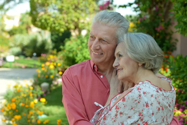 Elderly couple standing  outdoors — Stock Photo, Image