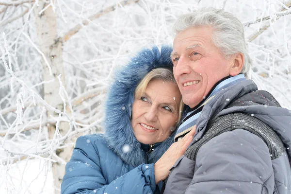 Pareja mayor en invierno al aire libre — Foto de Stock