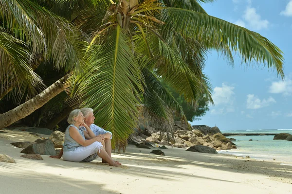 对老年夫妇在热带度假休息 — 图库照片