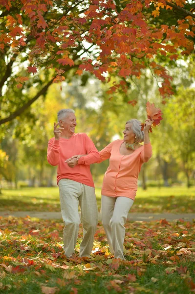 Senior couple at autumn park — Stockfoto