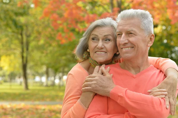 Senior couple at autumn park — Stok fotoğraf