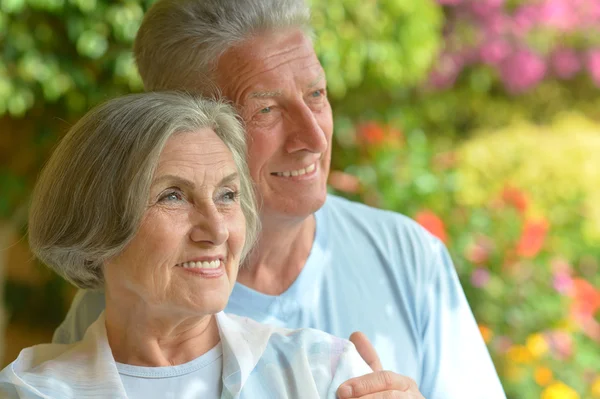 Senior koppel in zomer park — Stockfoto