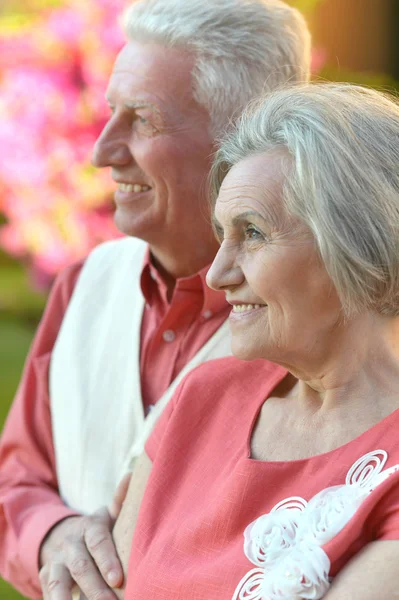 Senior koppel in zomer park — Stockfoto