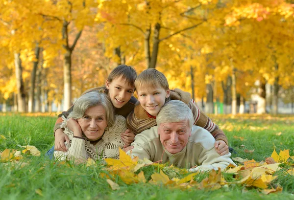 Grandparents and grandchildren in park — Stock Photo, Image